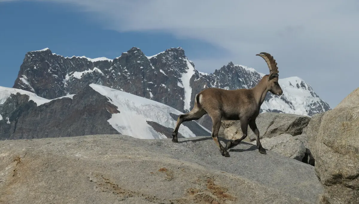 © Fabian Altmann | DAV-Sektion Feucht