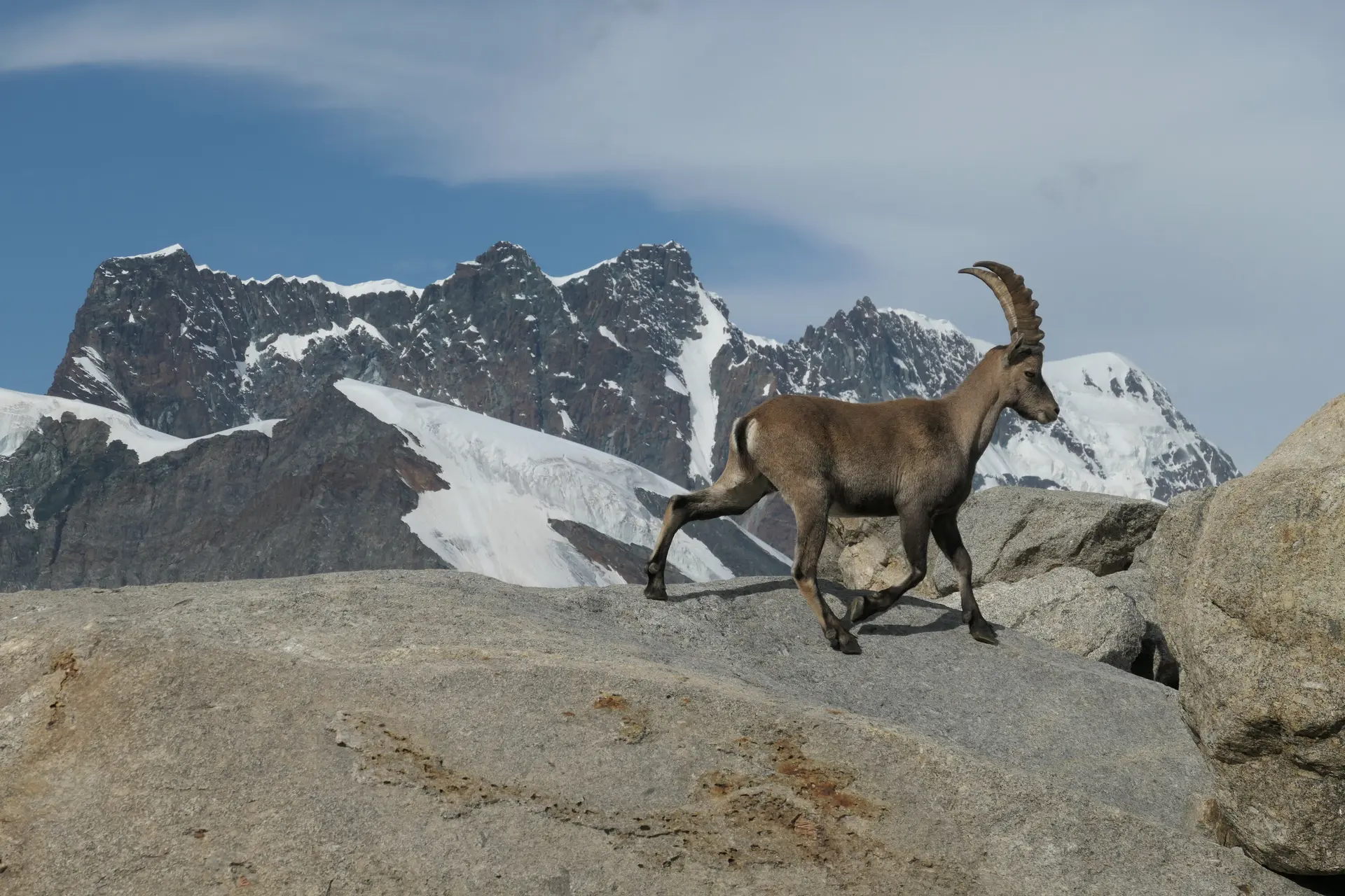 © Fabian Altmann | DAV-Sektion Feucht