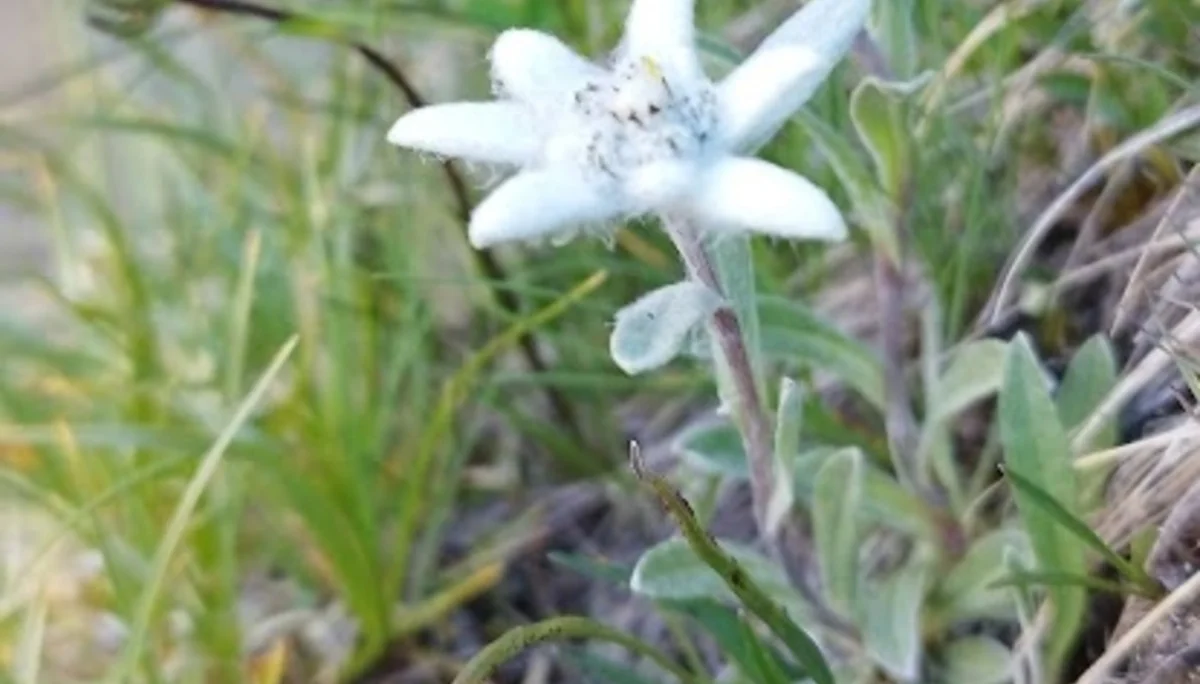 © DAV-Sektion Feucht