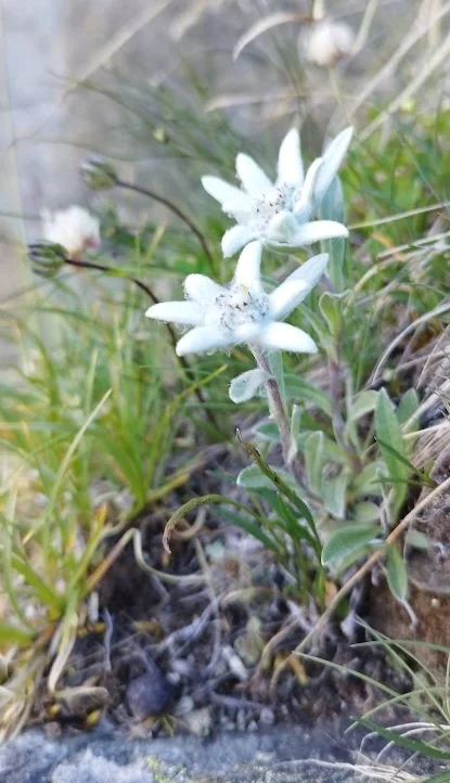 © DAV-Sektion Feucht