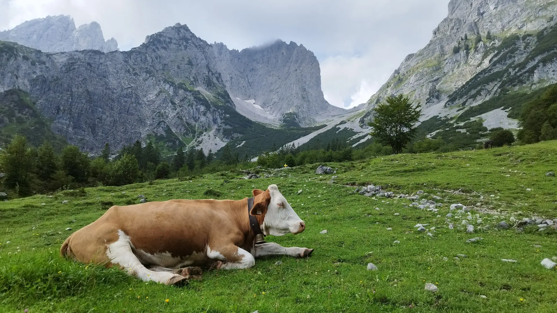 © Felix Salomon | DAV-Sektion Feucht