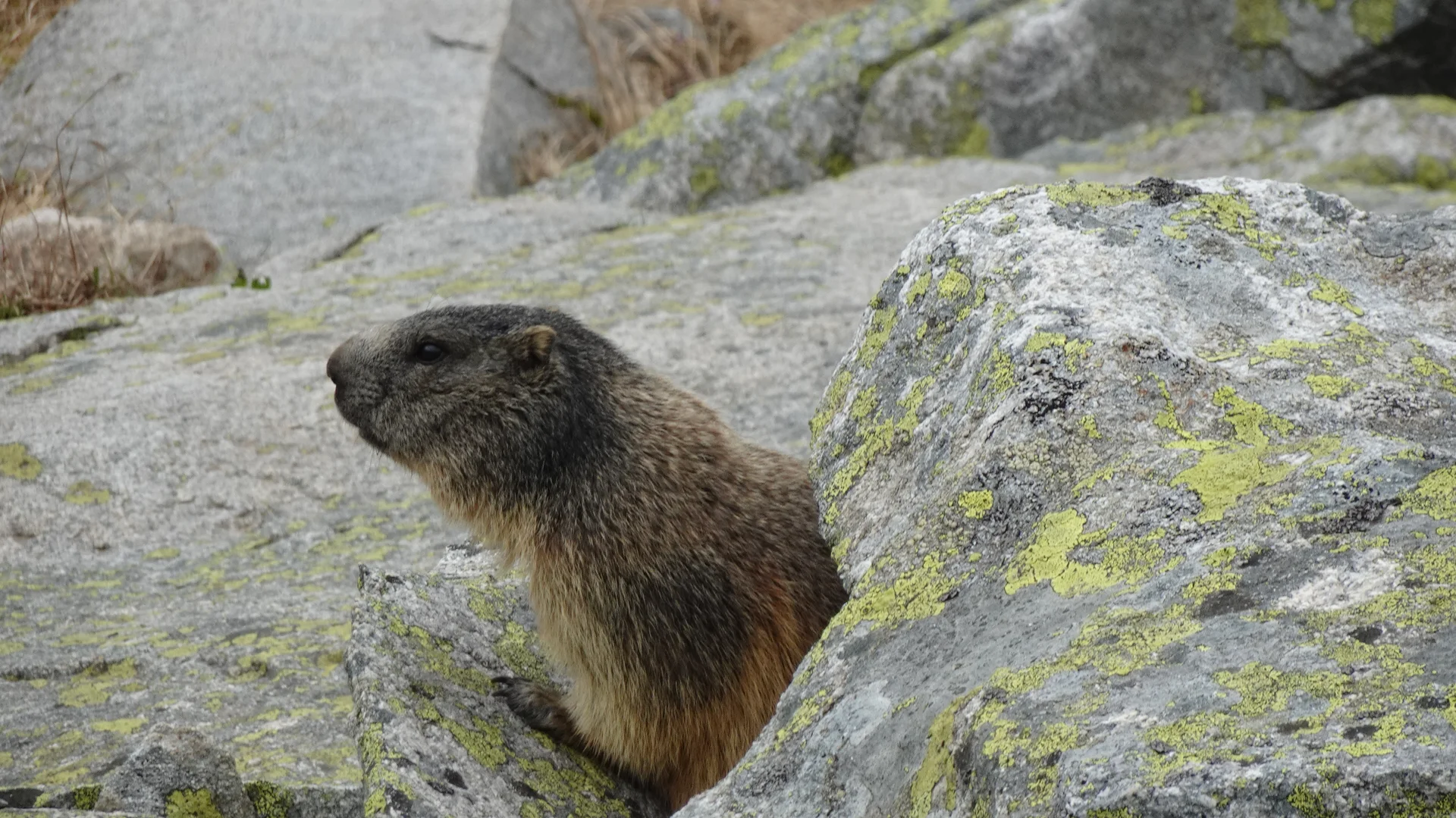 © Walter Hauenstein | DAV-Sektion Feucht