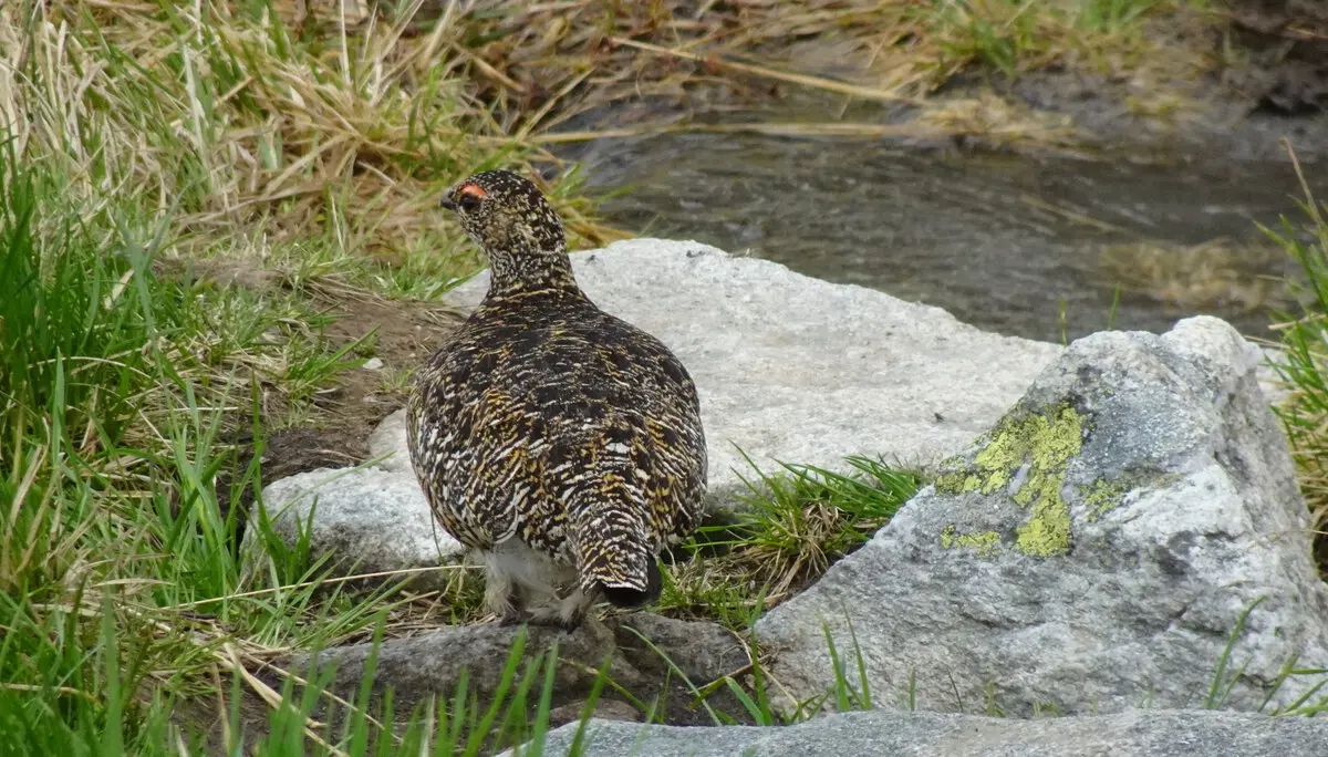© Walter Hauenstein | DAV-Sektion Feucht
