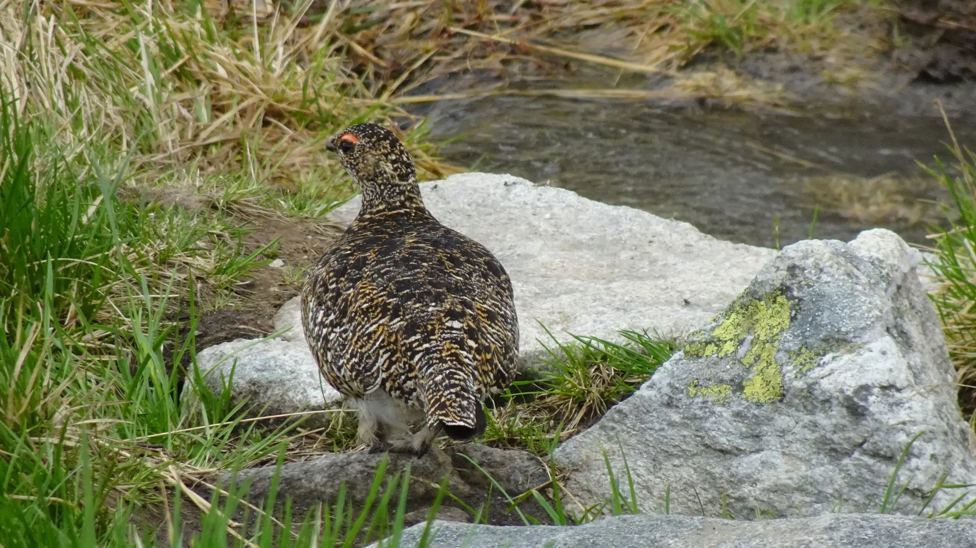 © Walter Hauenstein | DAV-Sektion Feucht
