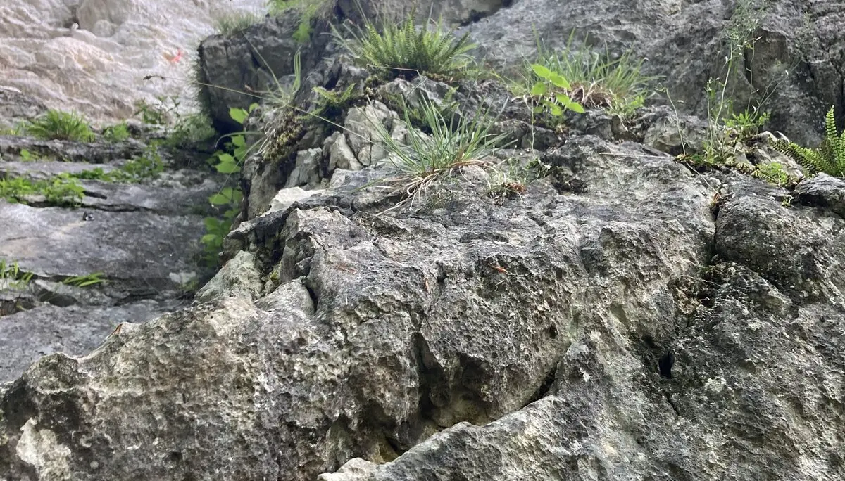 © DAV-Sektion Feucht | Ulrike Hünefeld