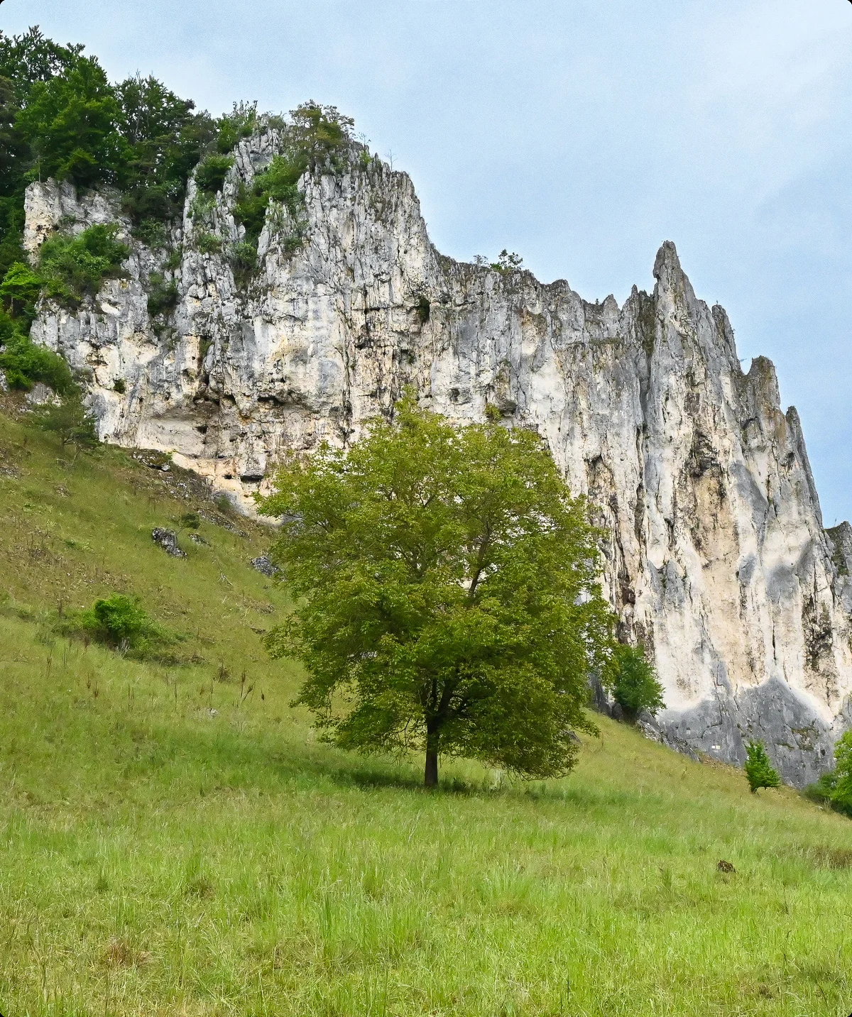 Der Dohlenfelsen bei Konstein | © Wolfgang Stolzenberg | DAV-Feucht