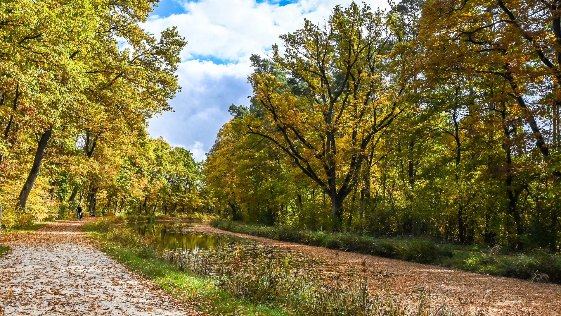 Heimatwanderung über die Dörlbacher Au | © Wolfgang Stolzenberg | DAV-Feucht Goldener Oktober am Ludwig-Main-Donau-Kanal | © Wolfgang Stolzenberg | DAV-Feucht