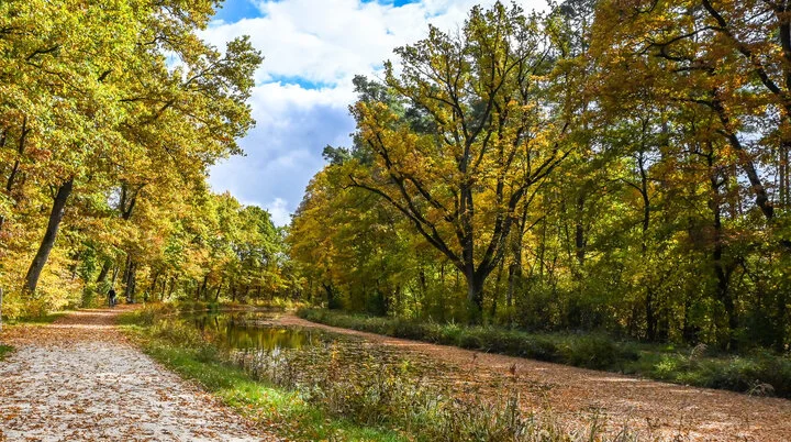 Goldener Oktober am Ludwig-Main-Donau-Kanal | © Wolfgang Stolzenberg | DAV-Feucht