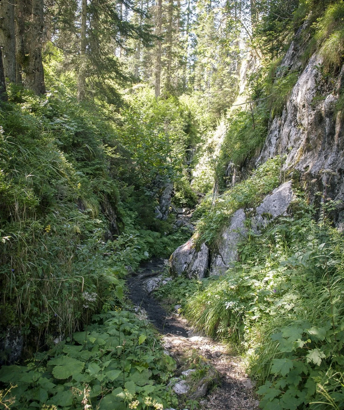 © Inge Klier | DAV-Sektion Feucht