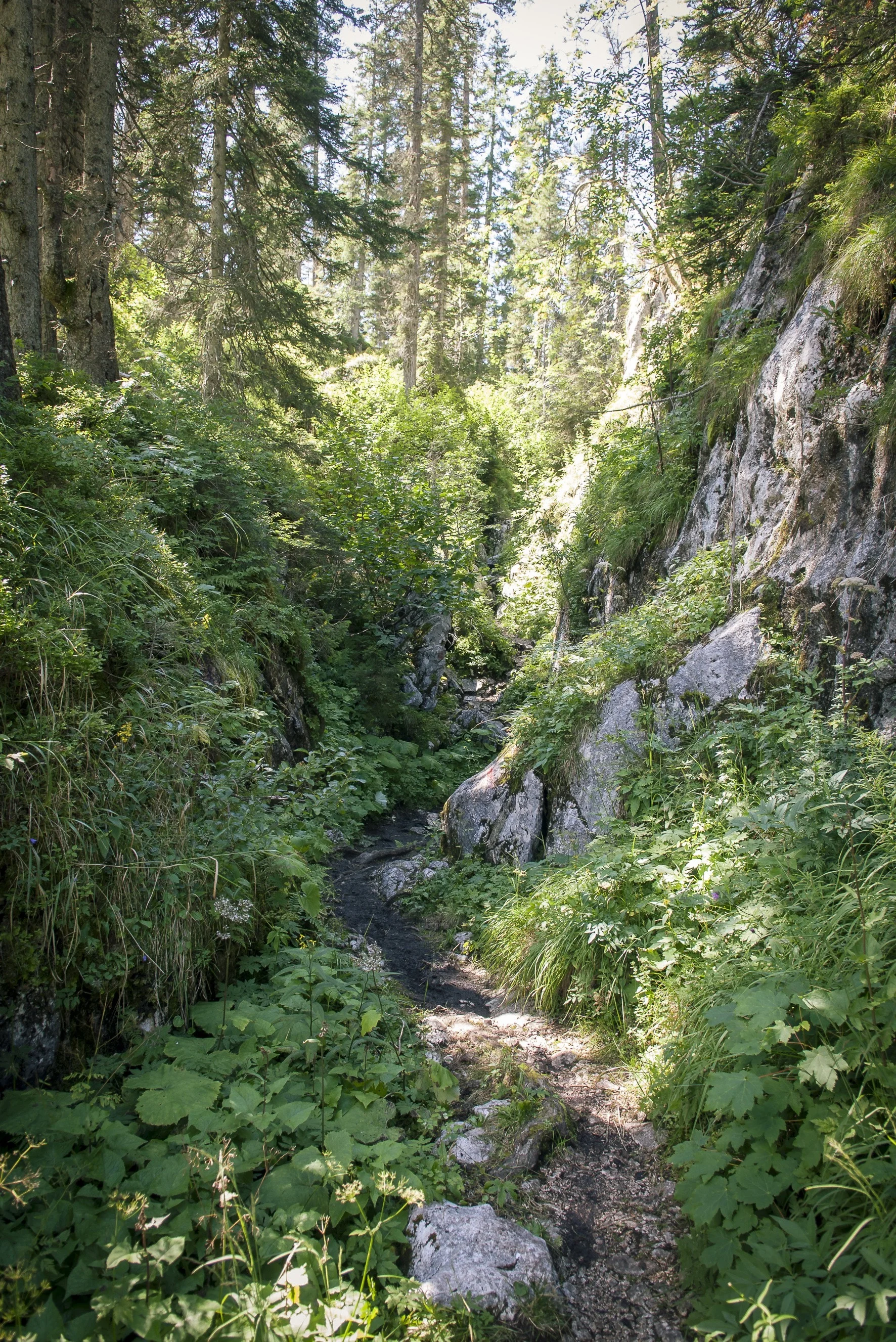 © Inge Klier | DAV-Sektion Feucht