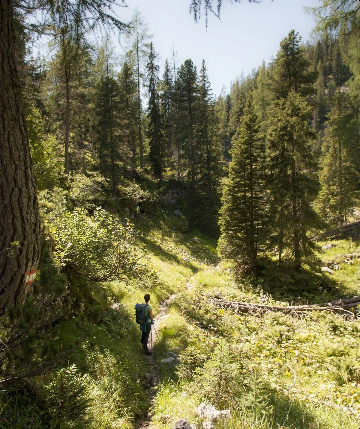 © Inge Klier | DAV-Sektion Feucht