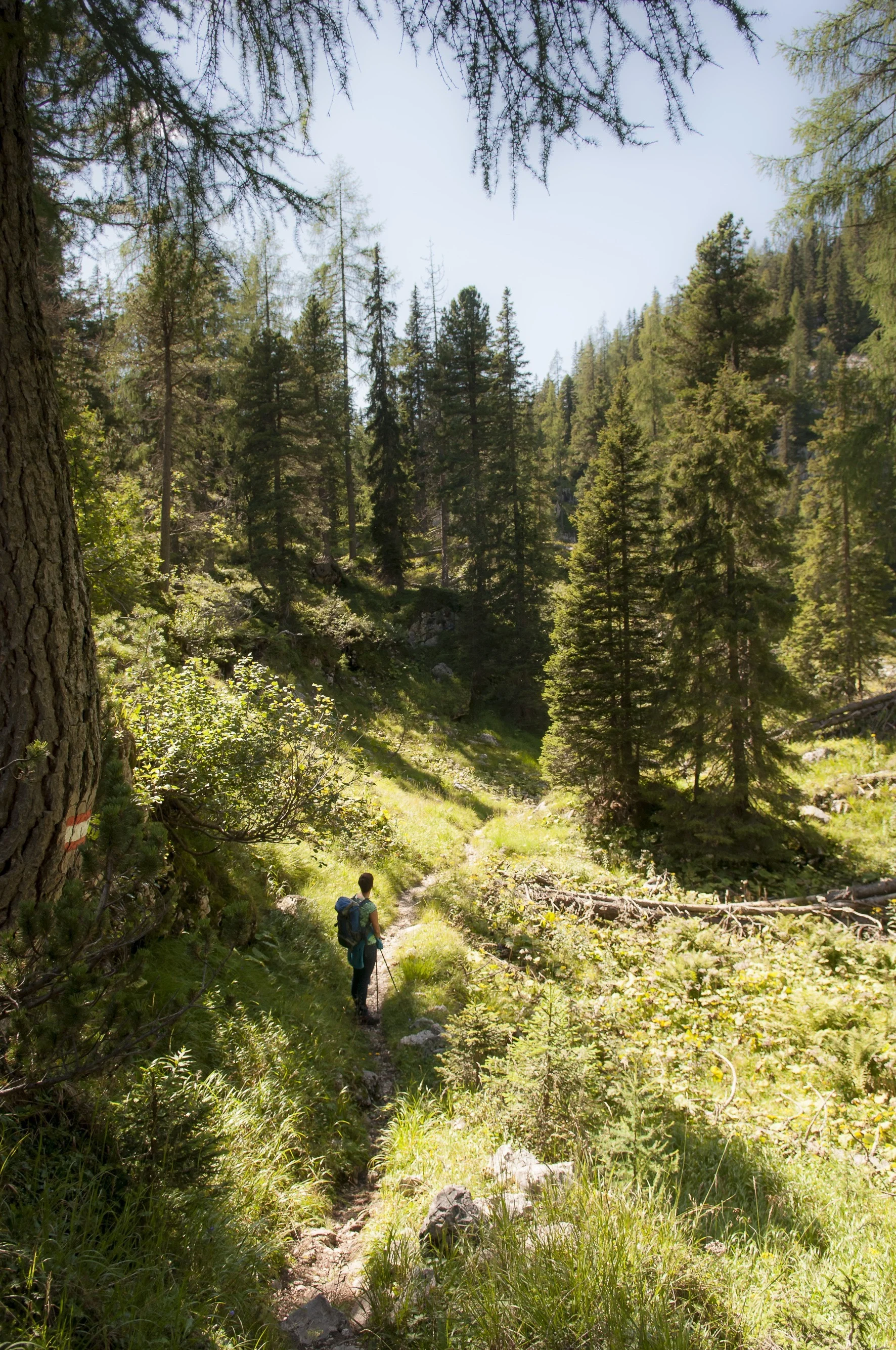 © Inge Klier | DAV-Sektion Feucht