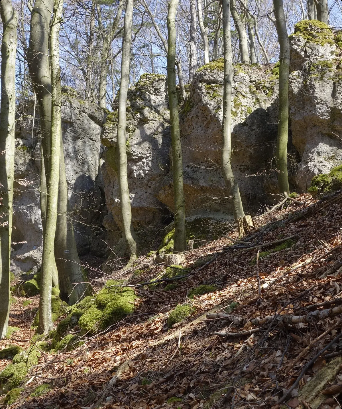 © Inge Klier | DAV-Sektion Feucht