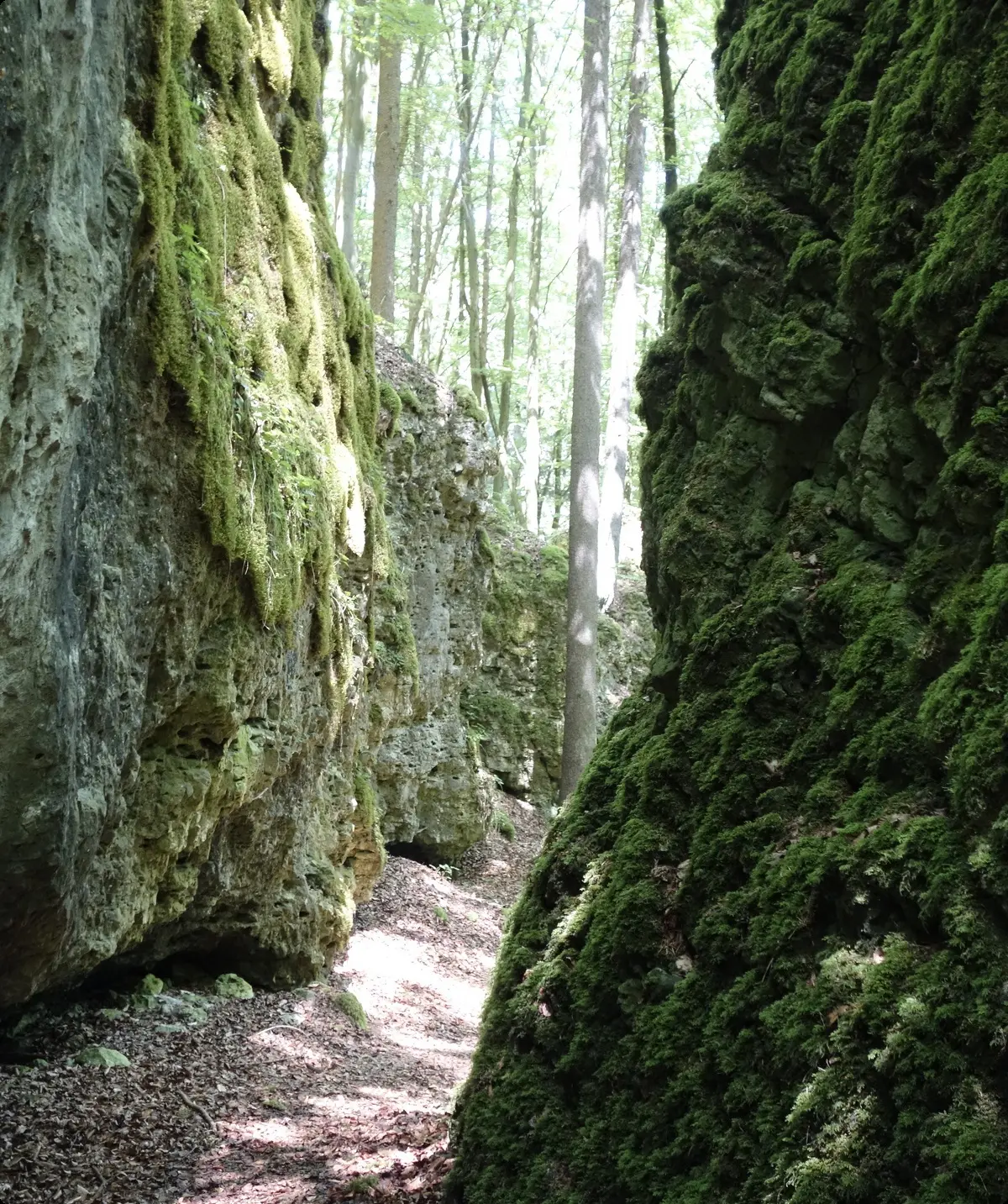 © Inge Klier | DAV Sektion Feucht