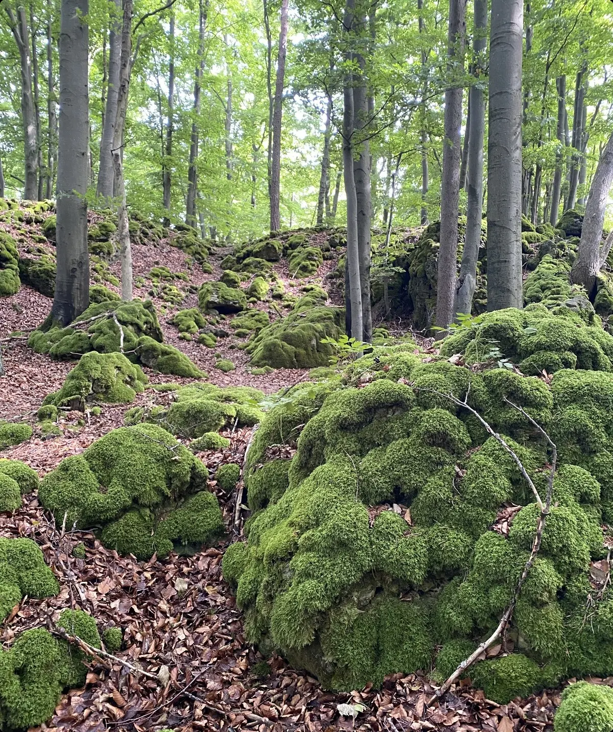 © DAV Sektion Feucht | Inge Klier