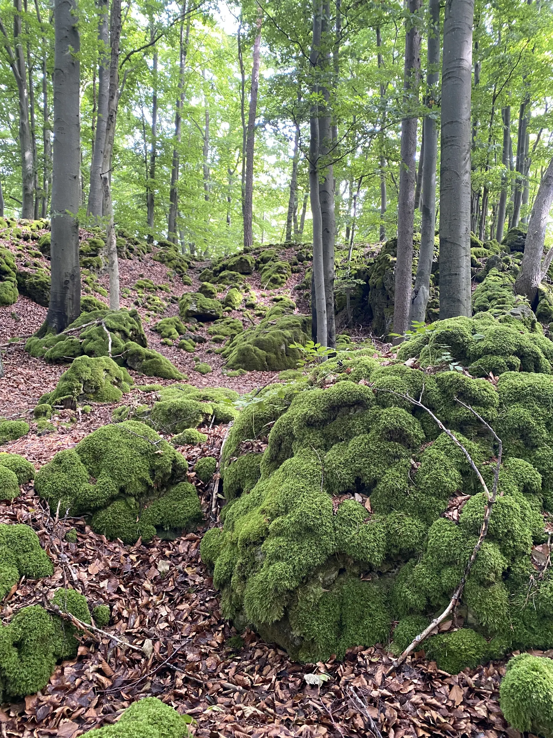 © DAV Sektion Feucht | Inge Klier