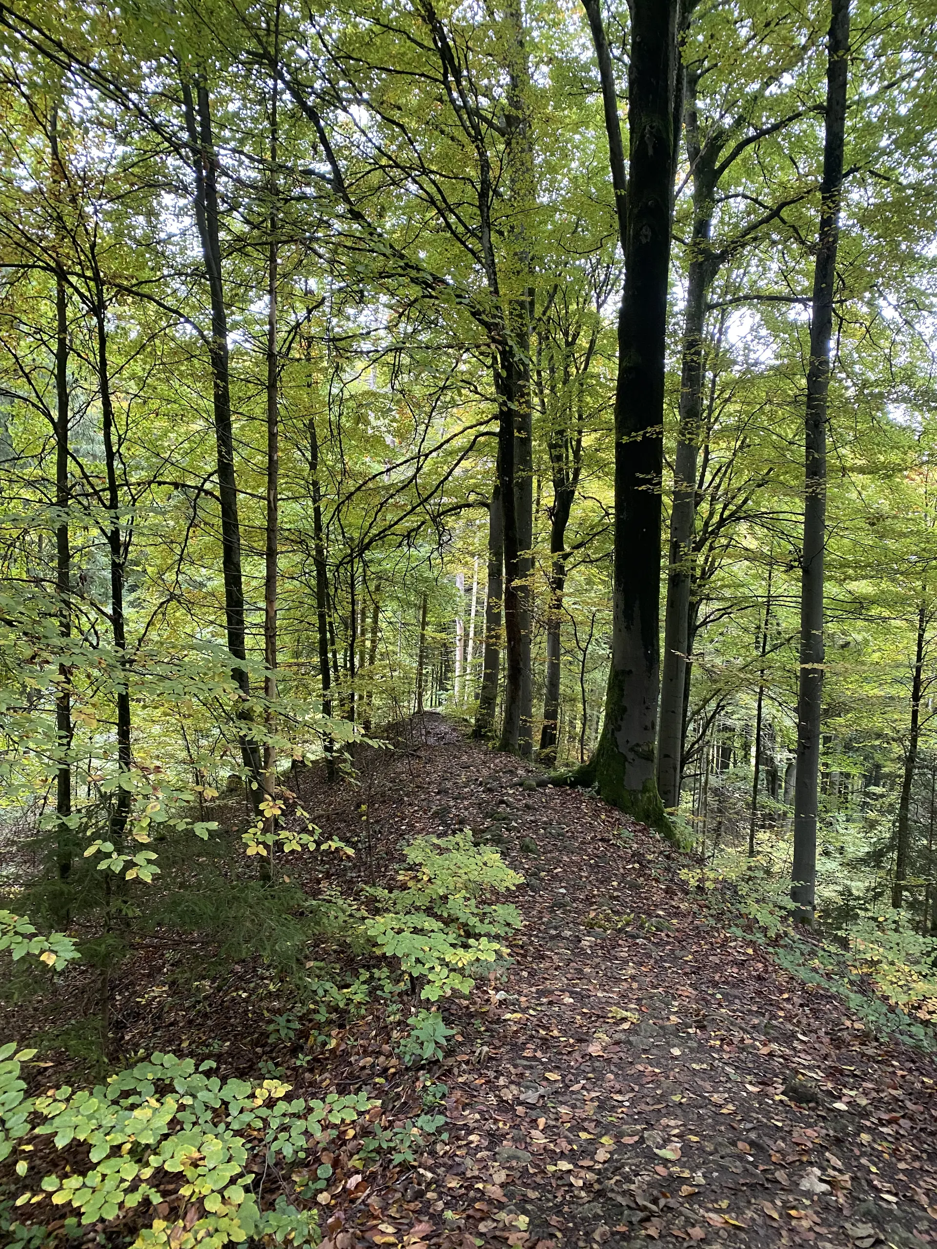 © DAV Sektion Feucht | Inge Klier