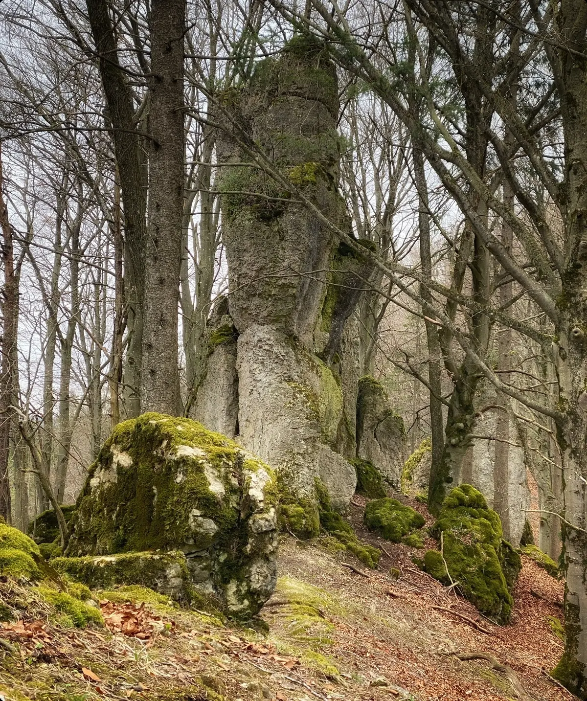 © DAV Sektion Feucht | Inge Klier