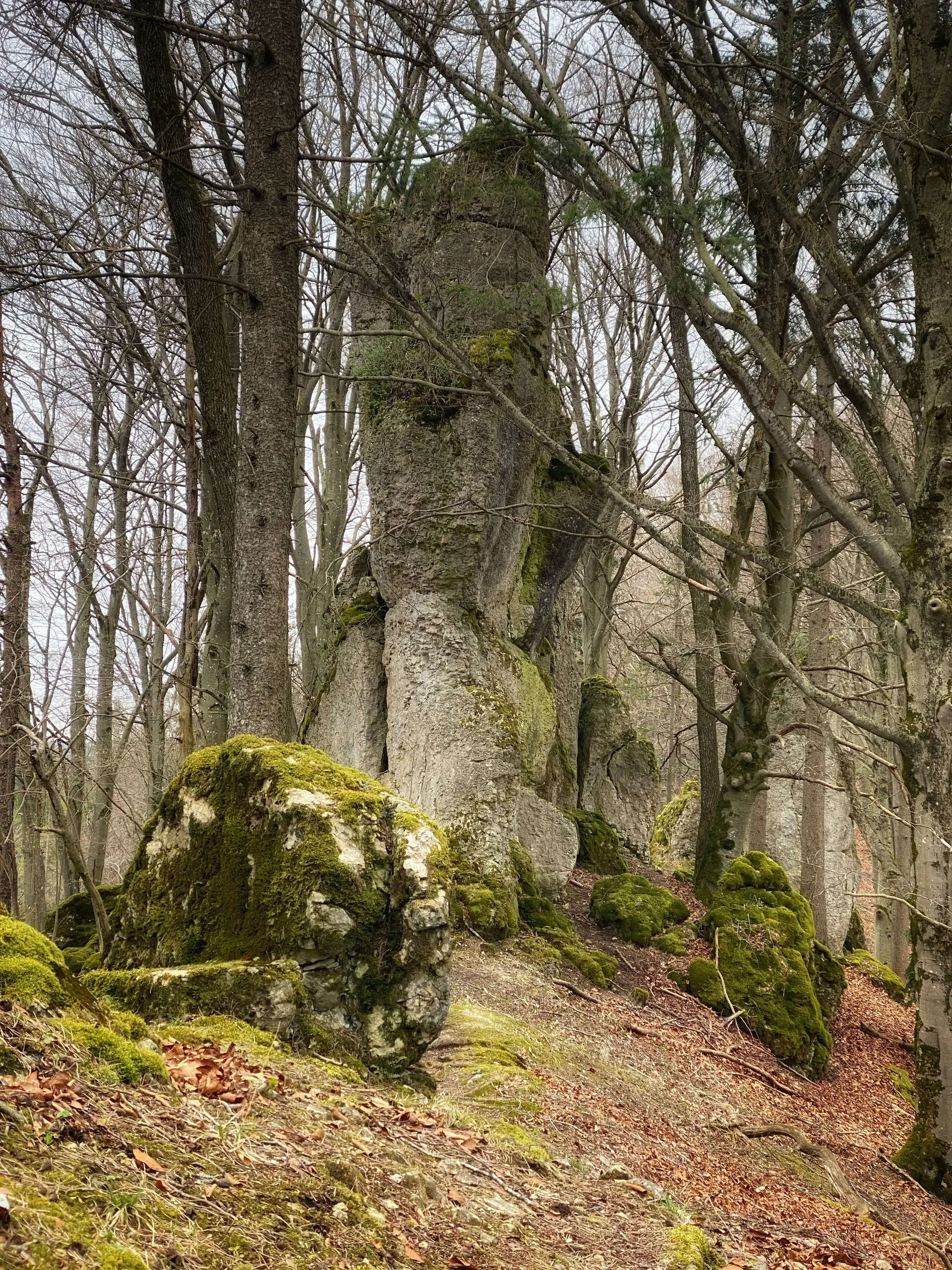 © DAV Sektion Feucht | Inge Klier