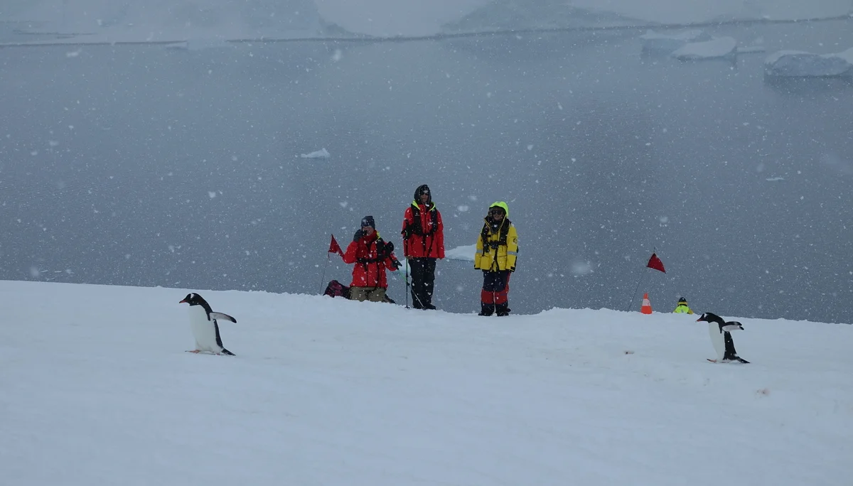 © Walter Hauenstein | DAV-Sektion Feucht