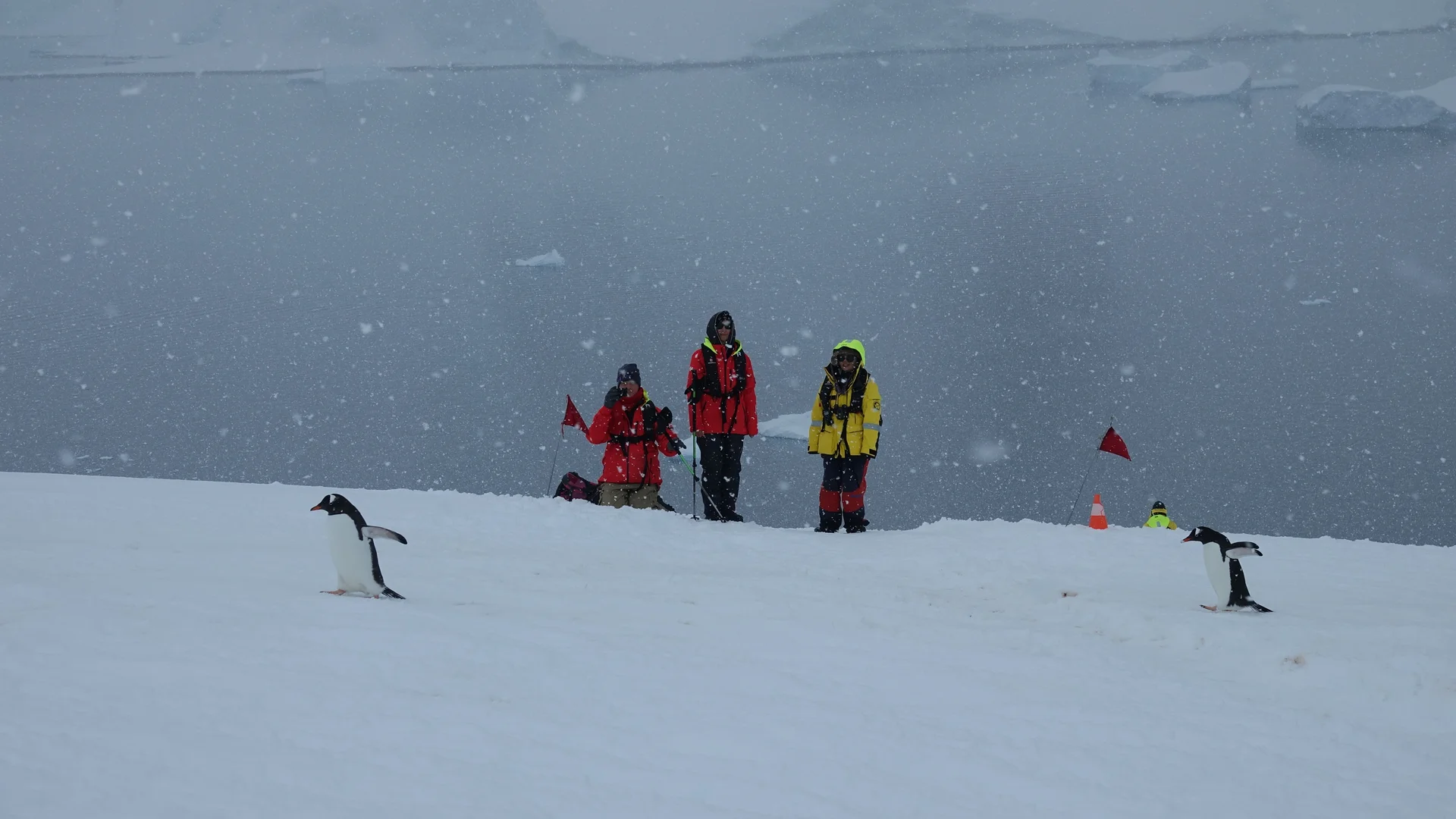 © Walter Hauenstein | DAV-Sektion Feucht