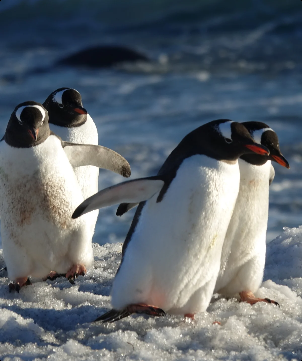 © Walter Hauenstein | DAV-Sektion Feucht