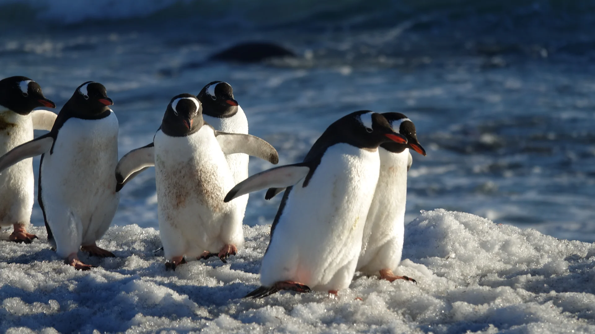 © Walter Hauenstein | DAV-Sektion Feucht