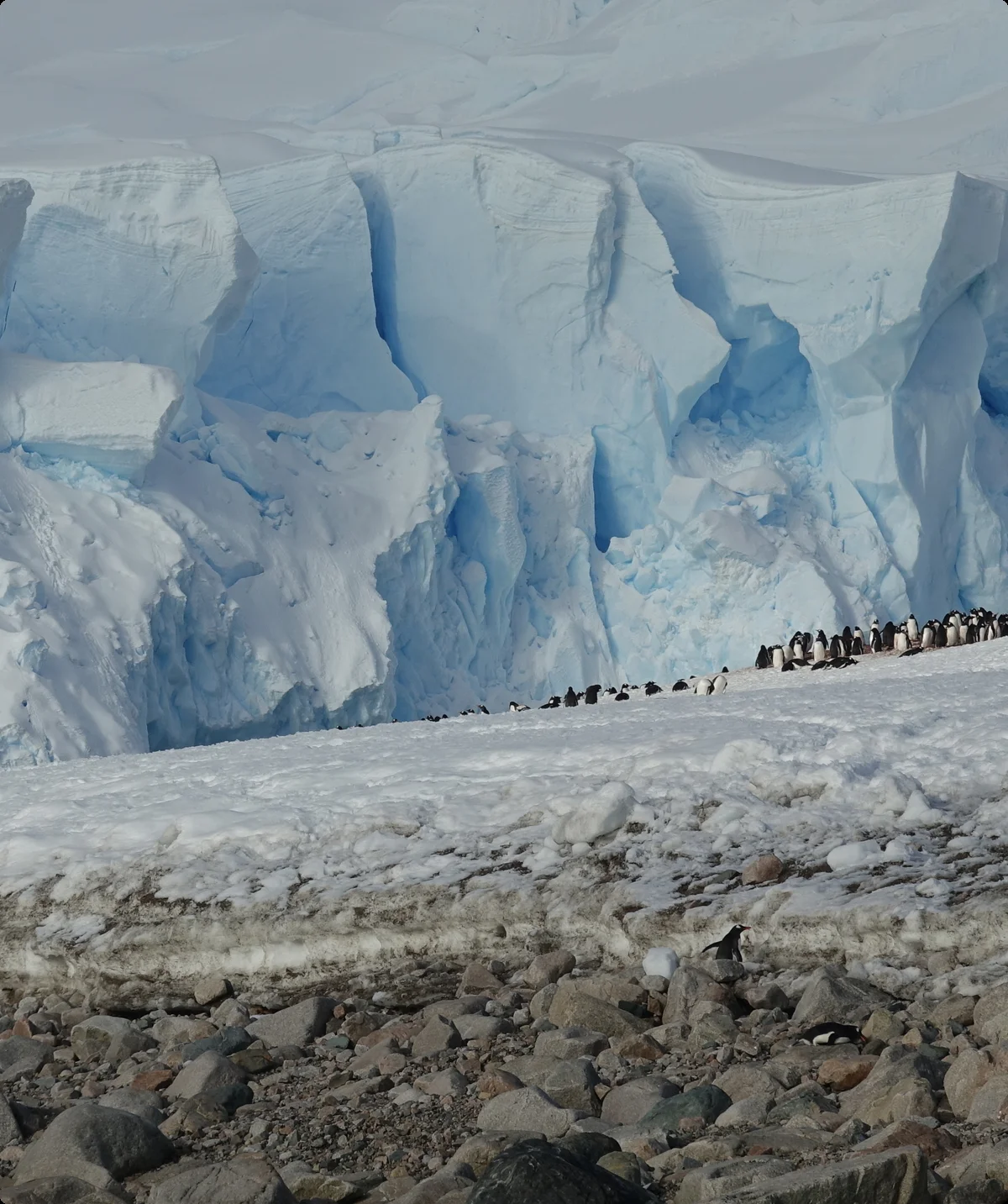 © Walter Hauenstein | DAV-Sektion Feucht