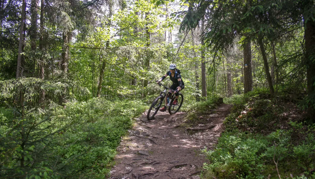 © DAV Sektion Feucht