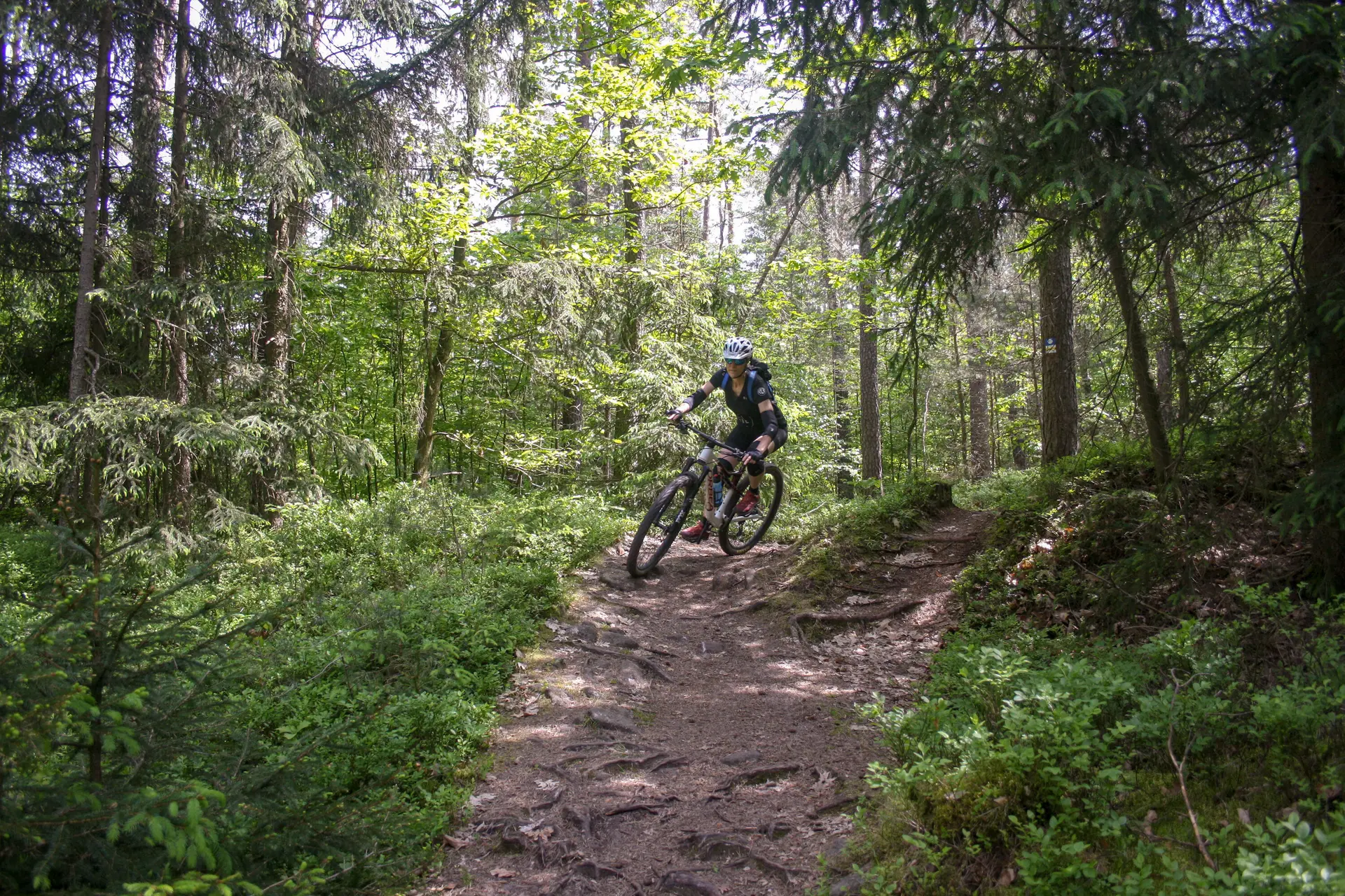 © DAV Sektion Feucht