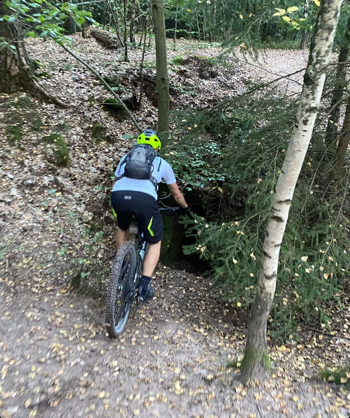 © Benjamin Ettenhuber & Heiko Engelhardt