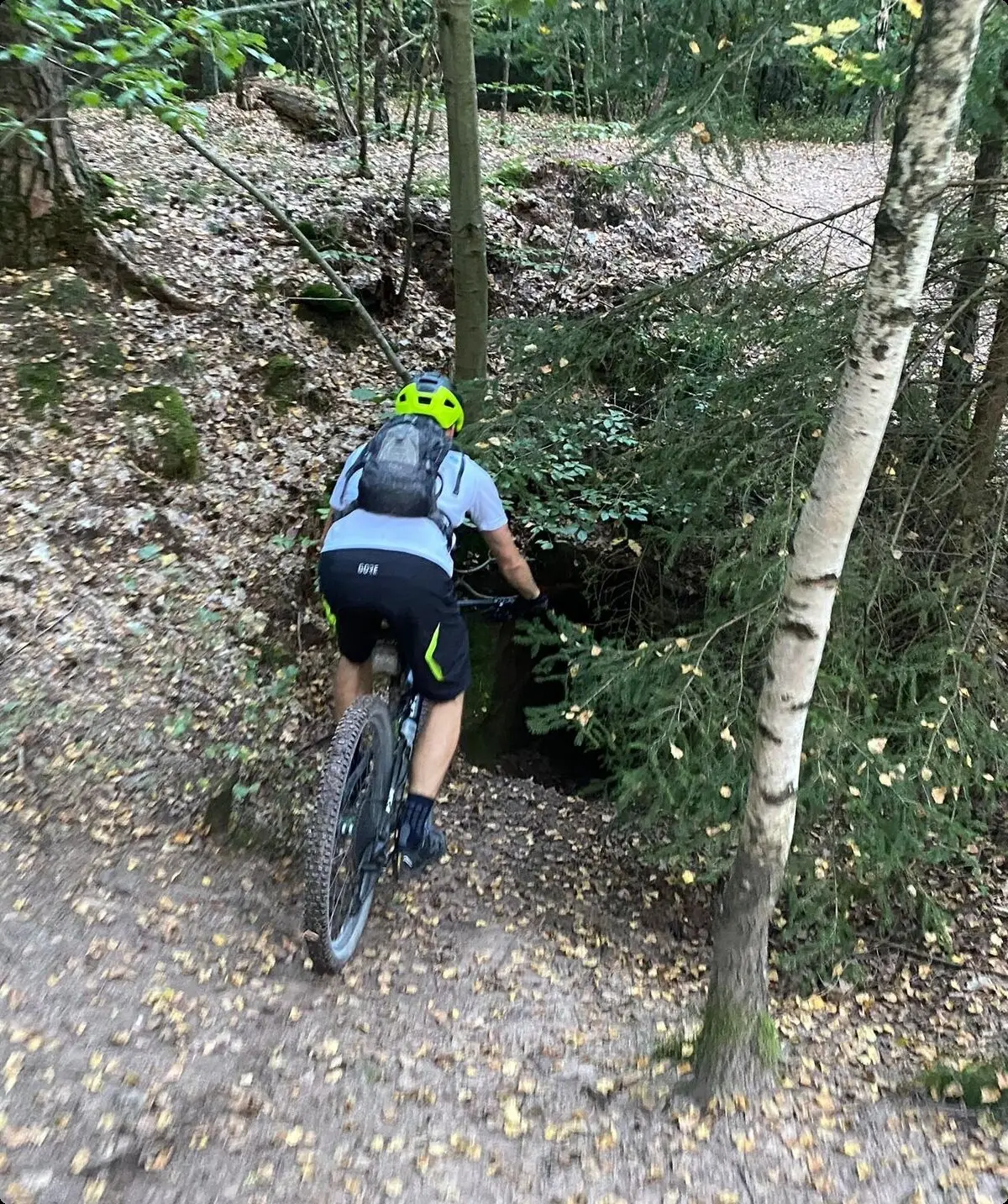 © Benjamin Ettenhuber & Heiko Engelhardt