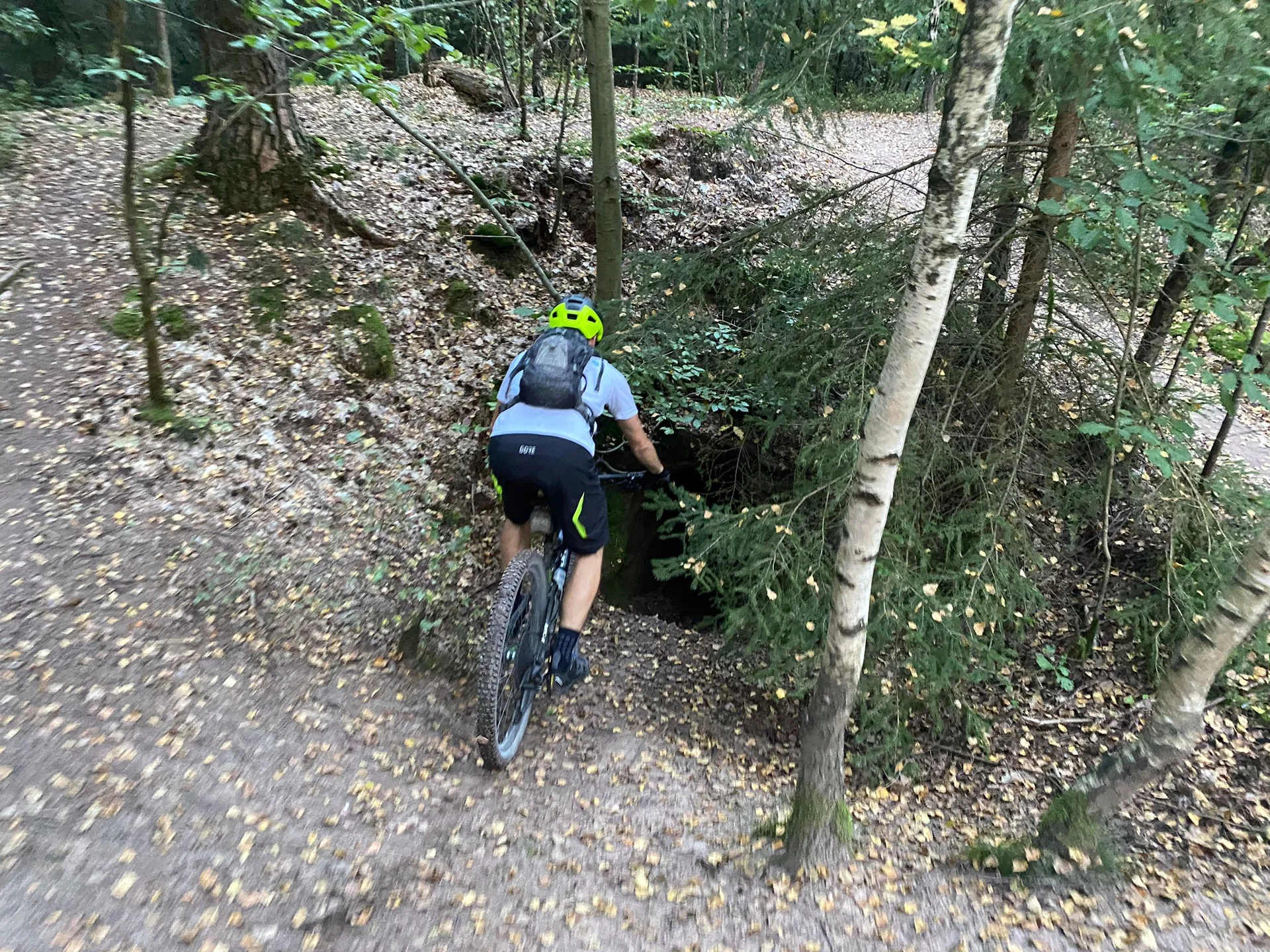 © Benjamin Ettenhuber & Heiko Engelhardt