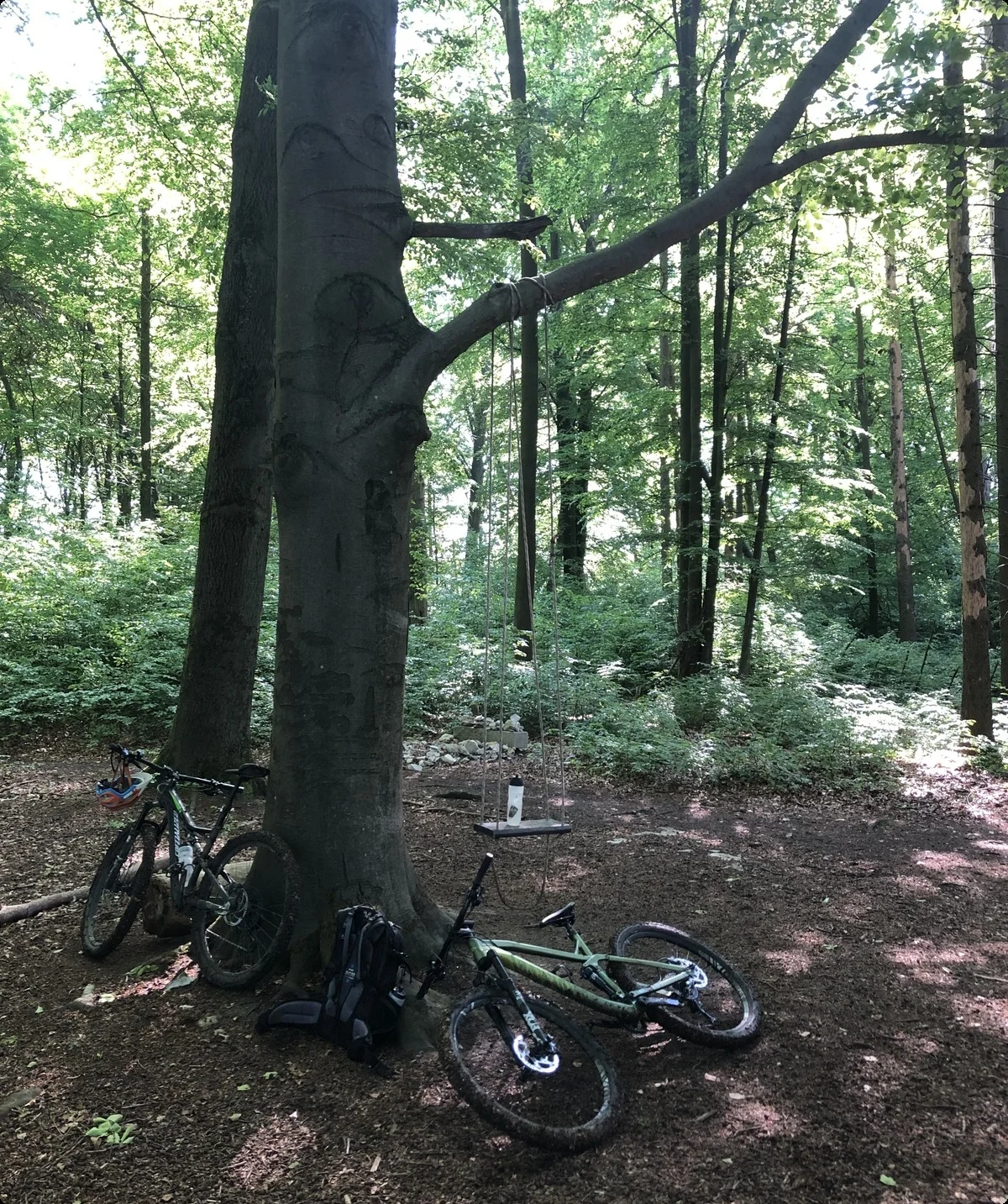 © Benjamin Ettenhuber & Heiko Engelhardt