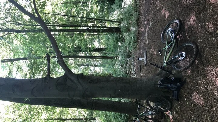 © Benjamin Ettenhuber & Heiko Engelhardt