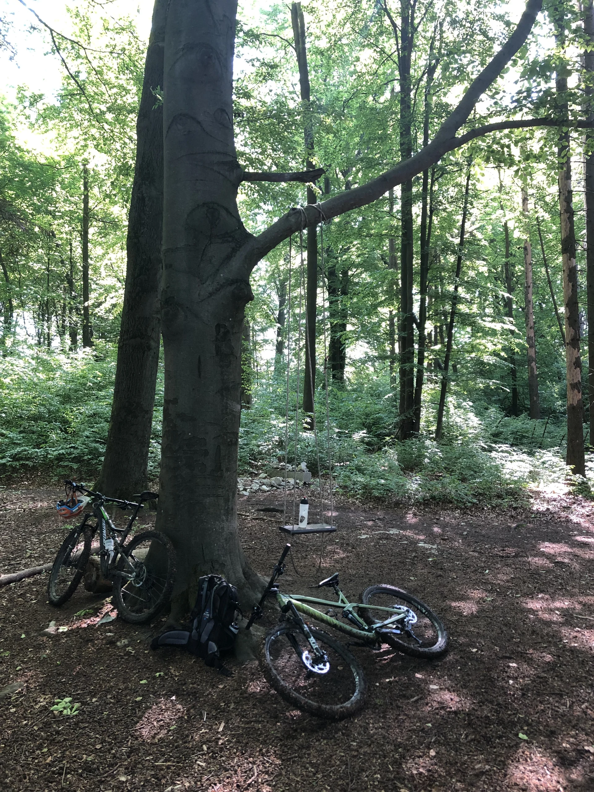 © Benjamin Ettenhuber & Heiko Engelhardt