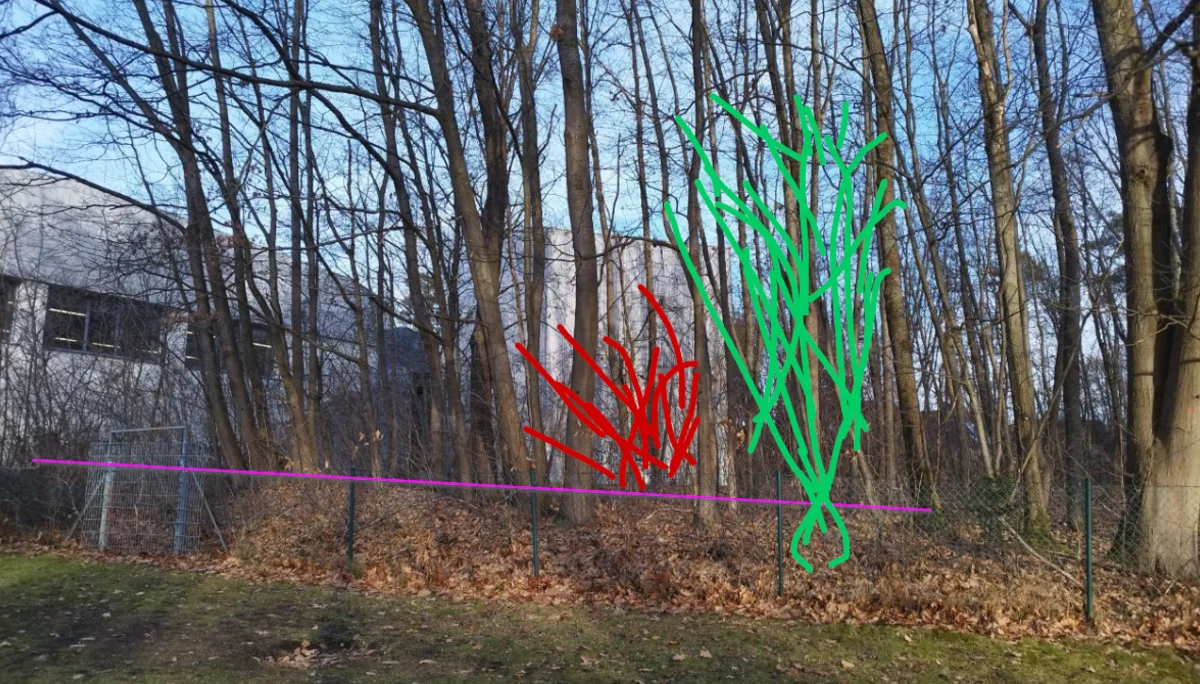 © Felix Salomon | DAV-Sektion Feucht