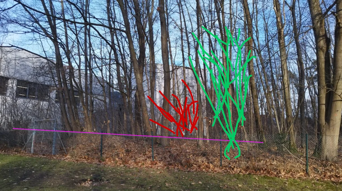 © Felix Salomon | DAV-Sektion Feucht