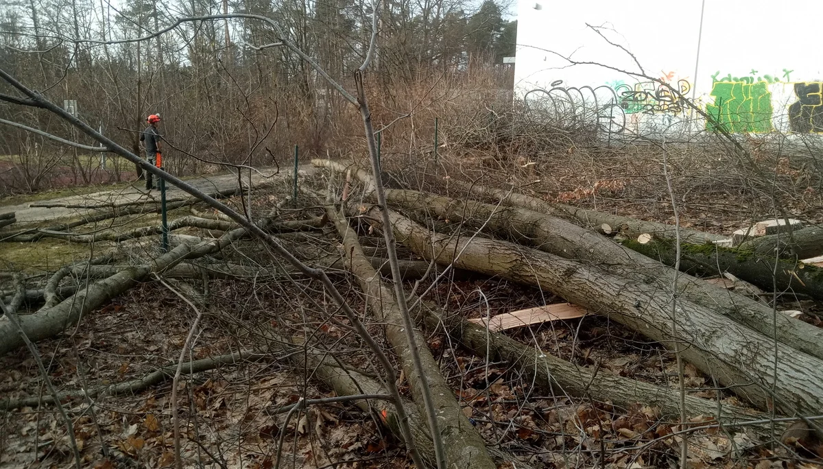 © Ernst Klier | DAV-Sektion Feucht