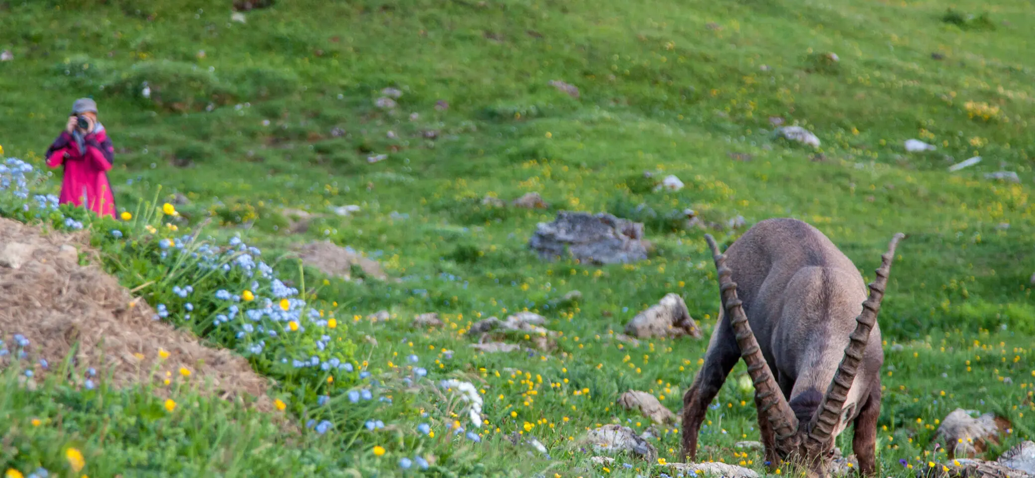 © Felix Salomon | DAV-Sektion Feucht