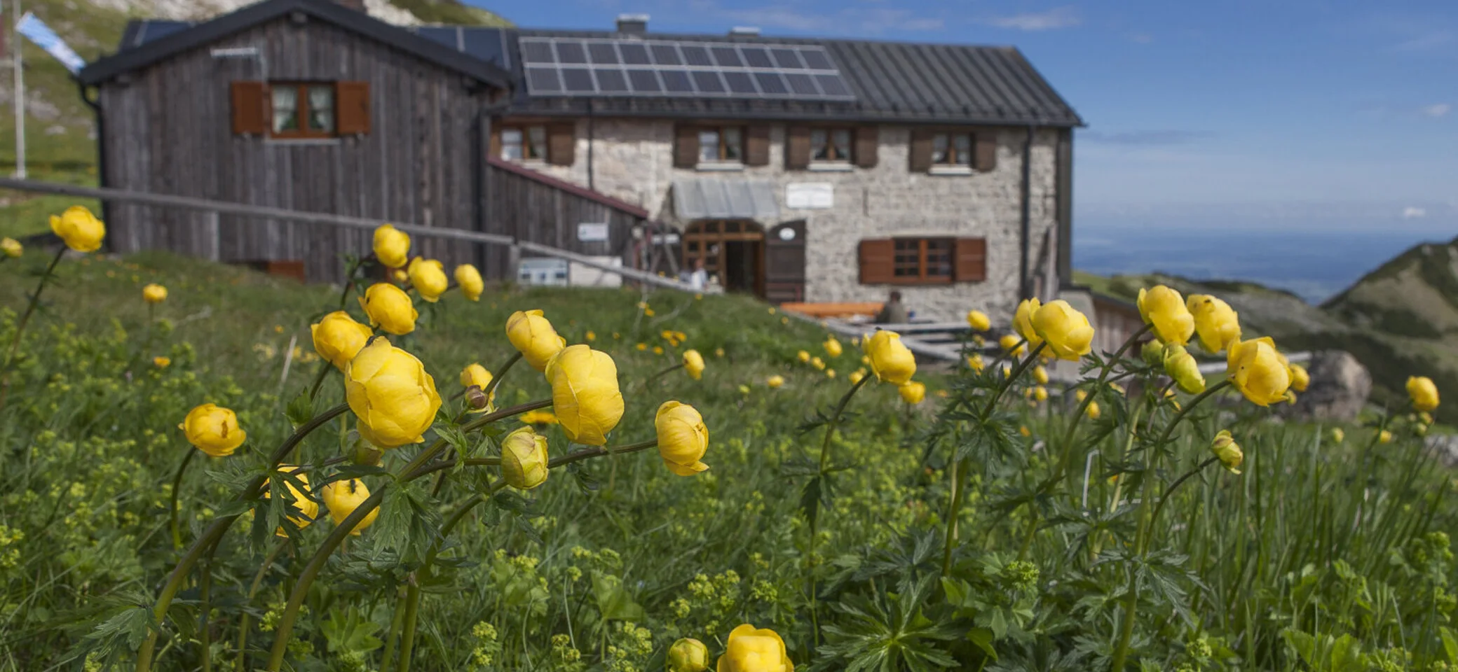 Weilheimer Hütte im Sommer - im Vordergrund Trollblumen | © DAV/Christian Weiermann